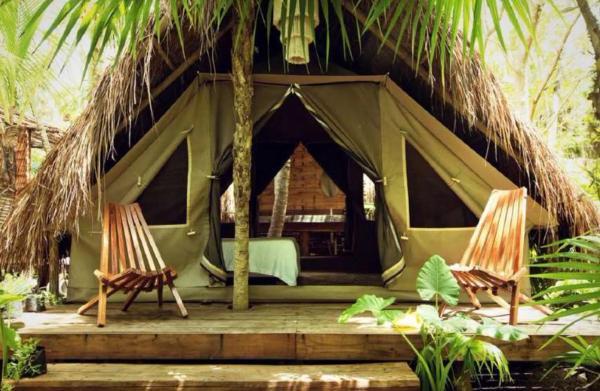 Terreno en camino Nuevo s/n