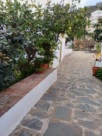 Terreno en Macharaviaya