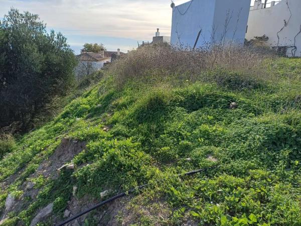 Terreno en Macharaviaya