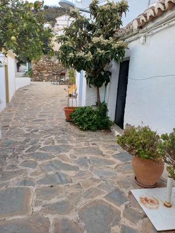 Terreno en Macharaviaya