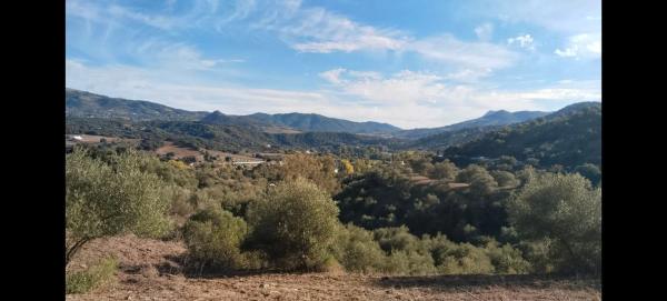 Terreno en Cortes de la Frontera, 36