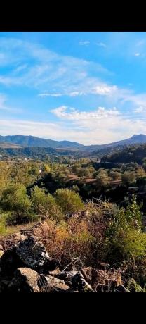 Terreno en Cortes de la Frontera, 36