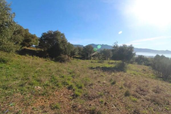 Terreno en Cortes de la Frontera, 36