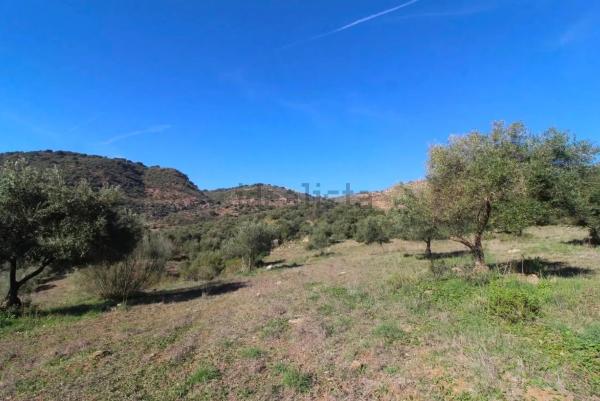 Terreno en Cortes de la Frontera, 36