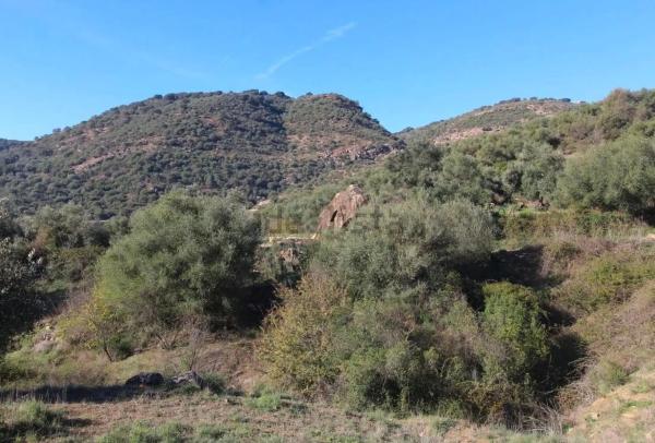 Terreno en Cortes de la Frontera, 36