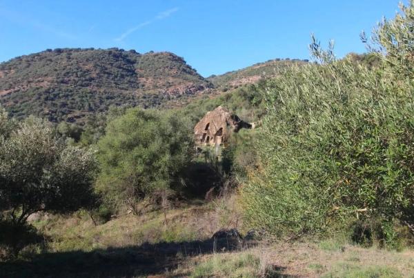 Terreno en Cortes de la Frontera, 36