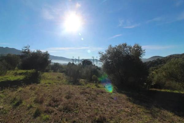 Terreno en Cortes de la Frontera, 36