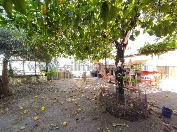 Terreno en calle Calzadilla Herrera