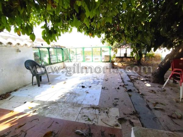 Terreno en calle Calzadilla Herrera