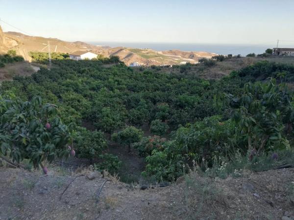 Terreno en calle n-340 s/n