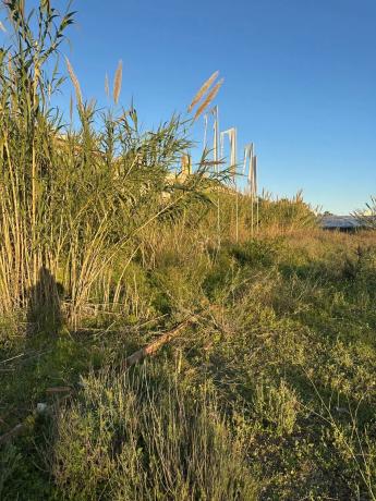 Terreno en Río güi, km 12