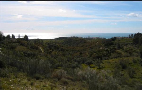 Terreno en Diseminado de Benajarafe, 25