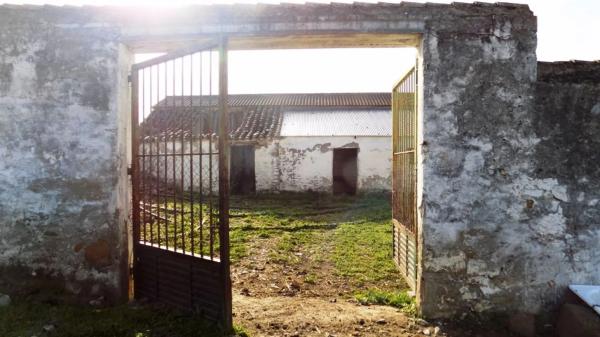 Terreno en Partida Jara, 9