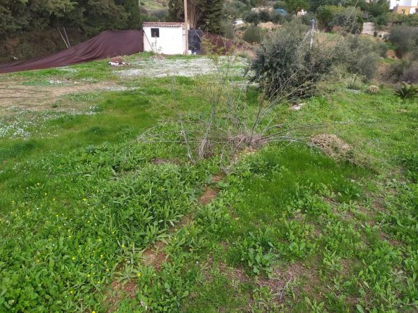 Terreno en camino de Valtocado s/n