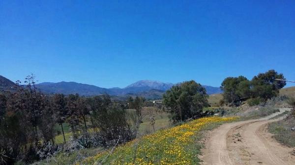 Terreno en Partida Jara, 9