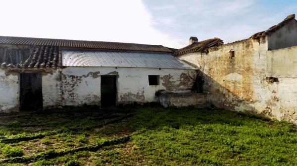 Terreno en Partida Jara, 9