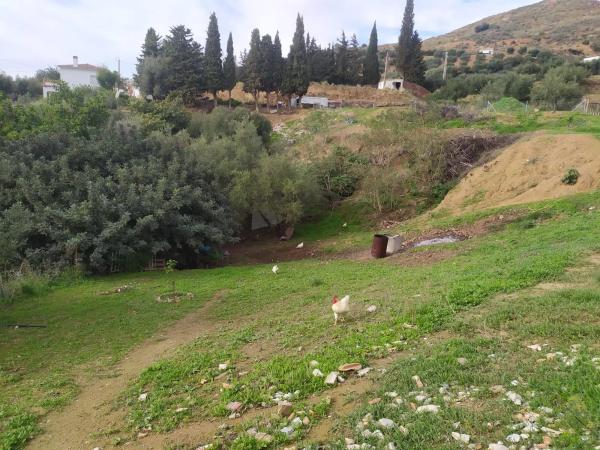 Terreno en camino de Valtocado s/n