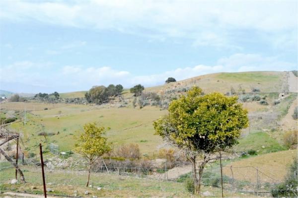 Terreno en Partida Jara, 9