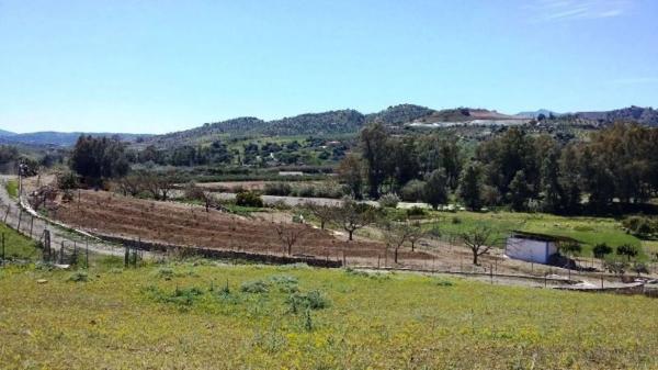 Terreno en Partida Jara, 9