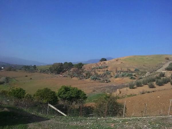 Terreno en Partida Jara, 9