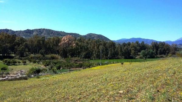 Terreno en Partida Jara, 9