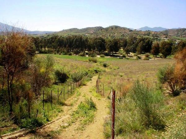 Terreno en Partida Jara, 9