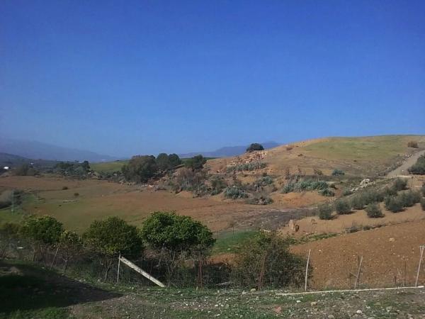 Terreno en Partida Jara, 9