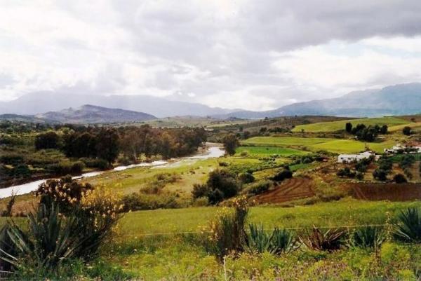 Terreno en Partida Jara, 9