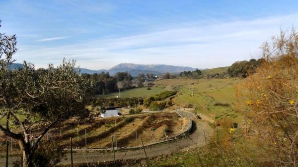 Terreno en Partida Jara, 9