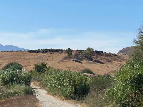 Terreno en arroyo el buho, 1