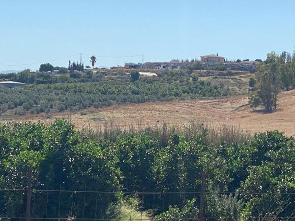 Terreno en arroyo el buho, 1