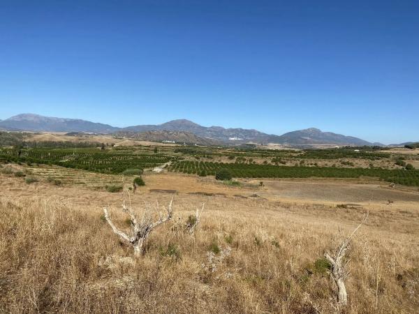 Terreno en arroyo el buho, 1
