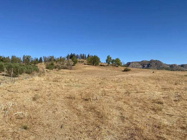 Terreno en arroyo el buho, 1