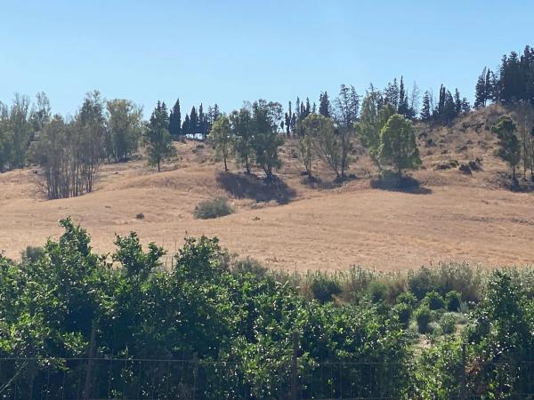 Terreno en arroyo el buho, 1