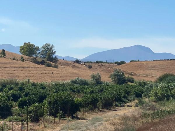 Terreno en arroyo el buho, 1