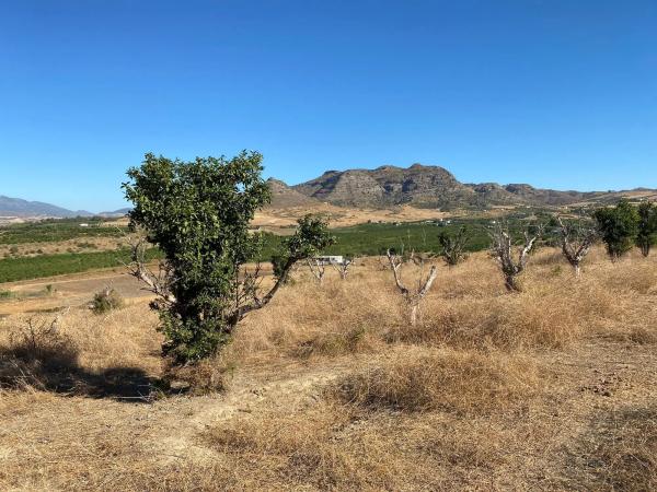 Terreno en arroyo el buho, 1