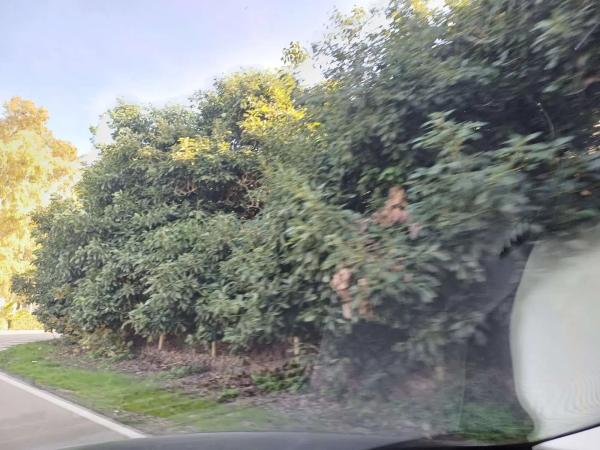 Terreno en Torrox Pueblo