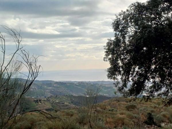 Terreno en Macharaviaya