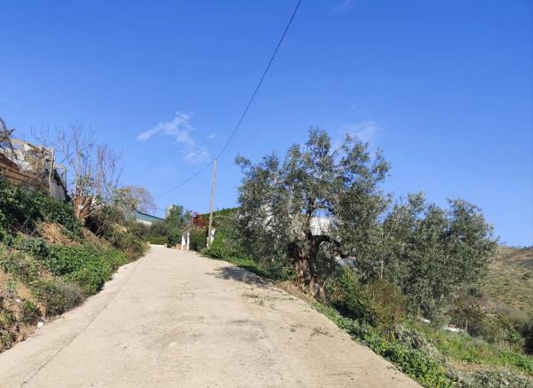 Terreno en cerro villalia s/n