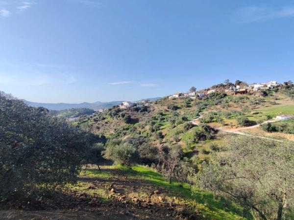 Terreno en cerro villalia s/n