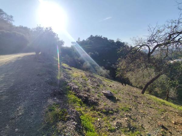 Terreno en cerro villalia s/n