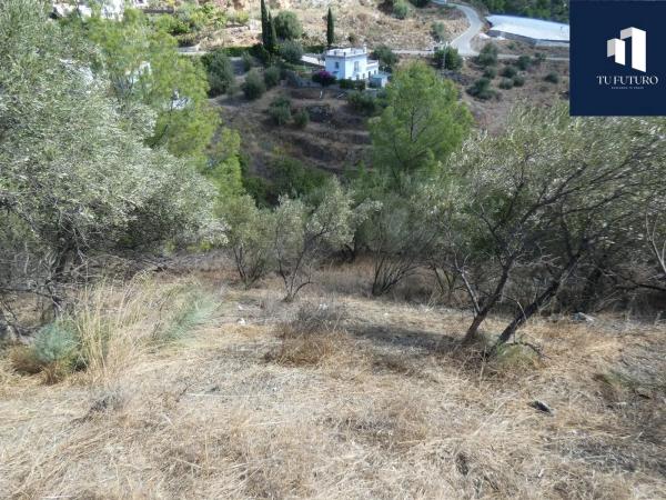 Terreno en Frigiliana