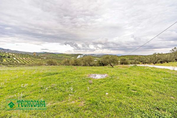 Terreno en alto de Guaro