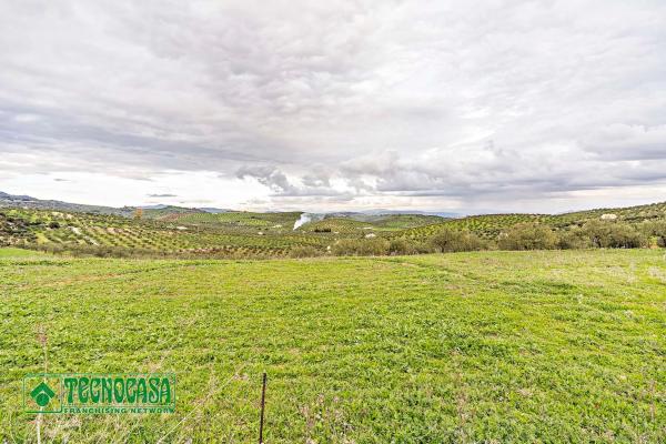 Terreno en alto de Guaro