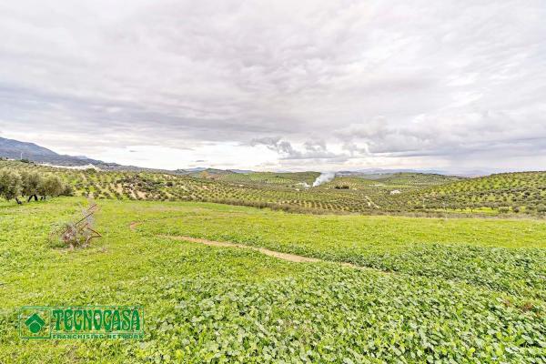 Terreno en alto de Guaro