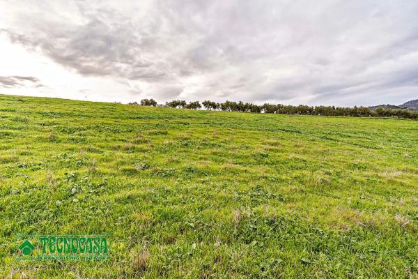 Terreno en alto de Guaro