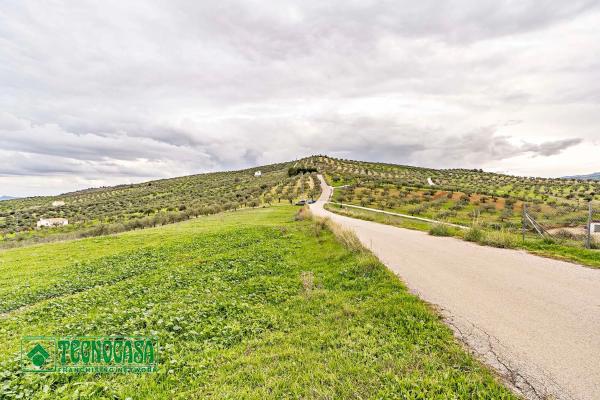 Terreno en alto de Guaro
