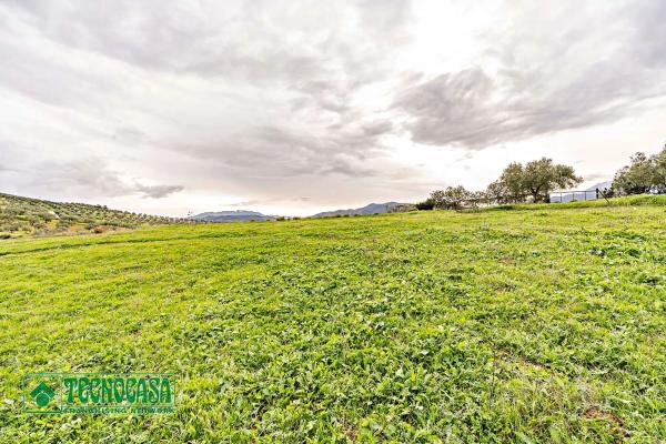Terreno en alto de Guaro