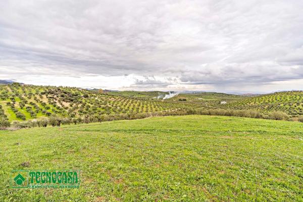 Terreno en alto de Guaro