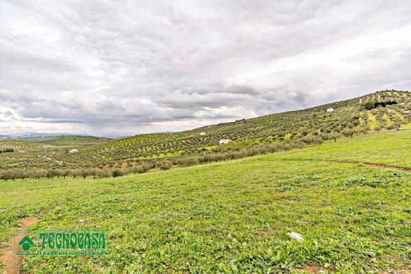 Terreno en alto de Guaro